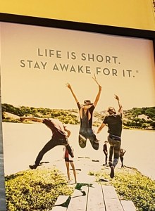 20190408_084133_resized_3